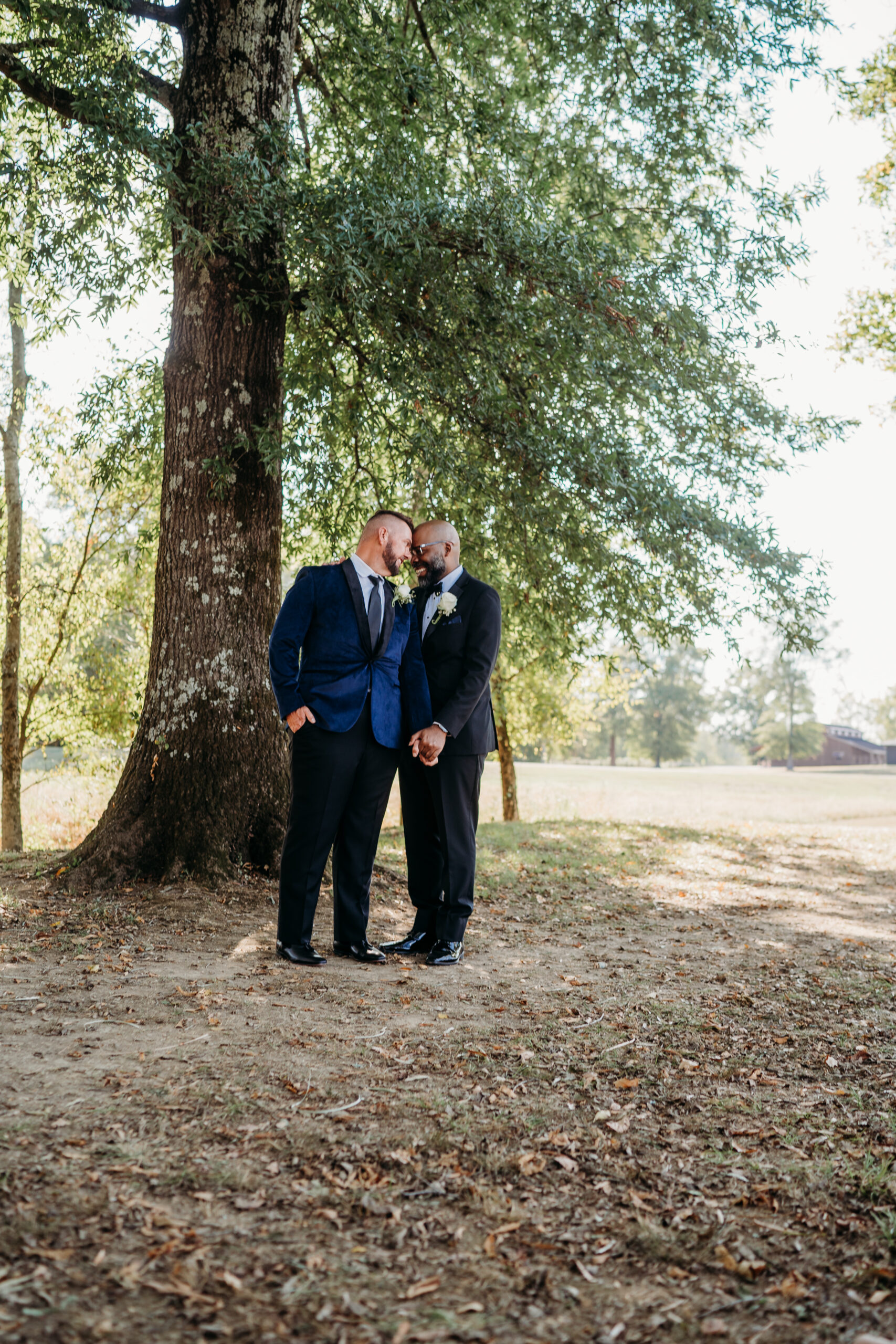 Levi & Billy hold hands forehead-to-forehead under a large tree overlooking Covey Creek field