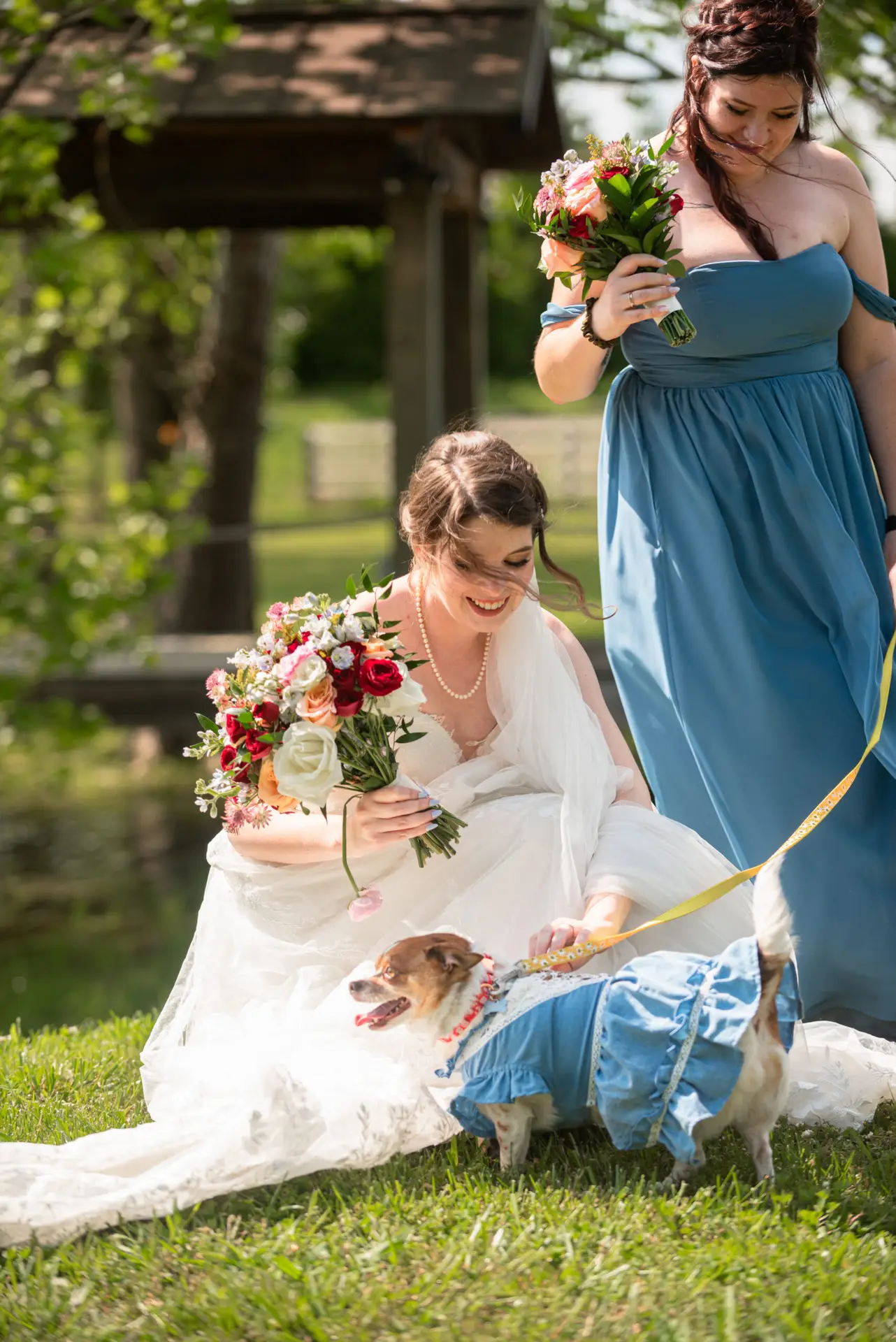 Rachael kneels in her gown to greet a dog in a blue dress with a bridesmaid at Covey Creek, Rachael & Ben.