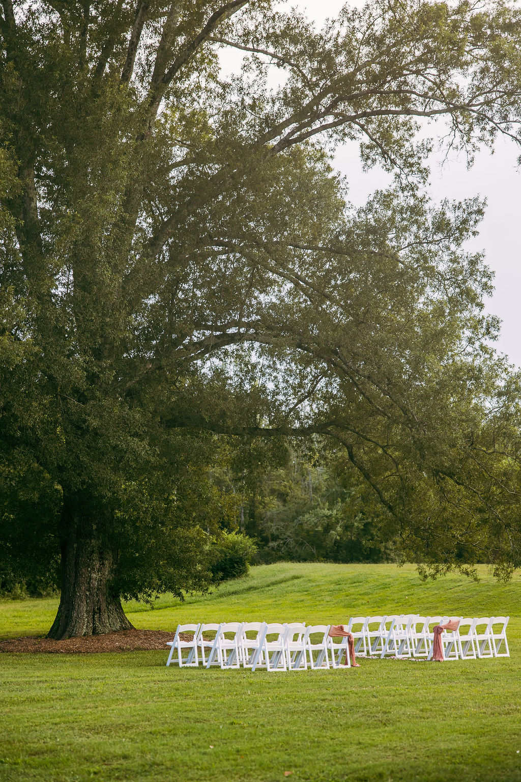 Amanda & Stephen’s empty ceremony chairs under Covey Creek’s Tunnel of Love oak with rose-draped aisles
