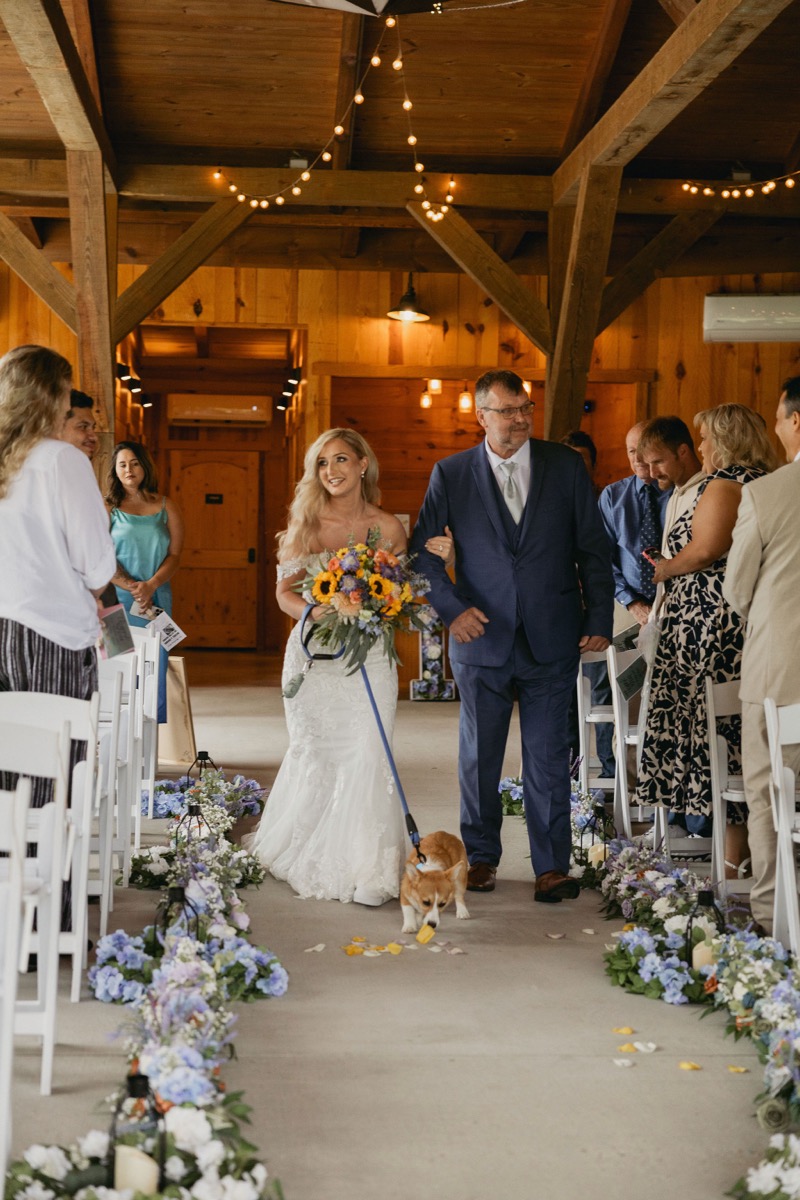 Brianna & Michael's processional: she smiles with her father as their corgi walks the Covey Creek pavilion aisle.