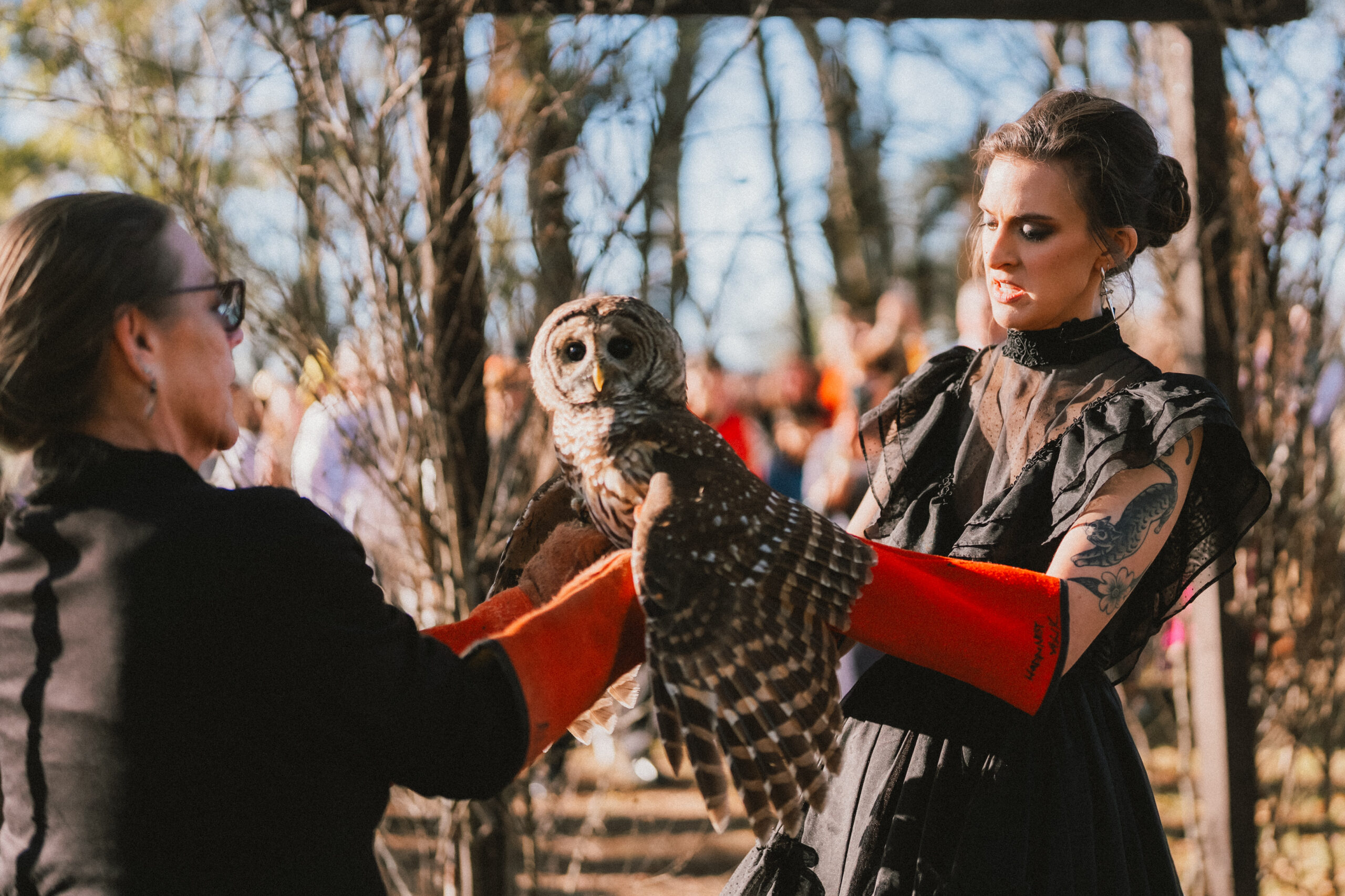 Erin holds a barred owl in red falconry gloves with a handler at Erin & Baxter's Covey Creek wedding