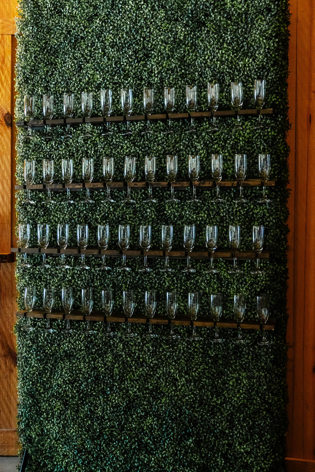 Shelbie & Callaway champagne flutes lined on shelves across a boxwood wall indoors at Covey Creek reception