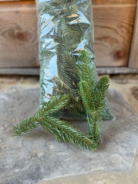 Small Pine Greenery